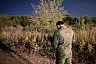 Установлены обстоятельства столкновения двух катеров на Волге под Саратовом